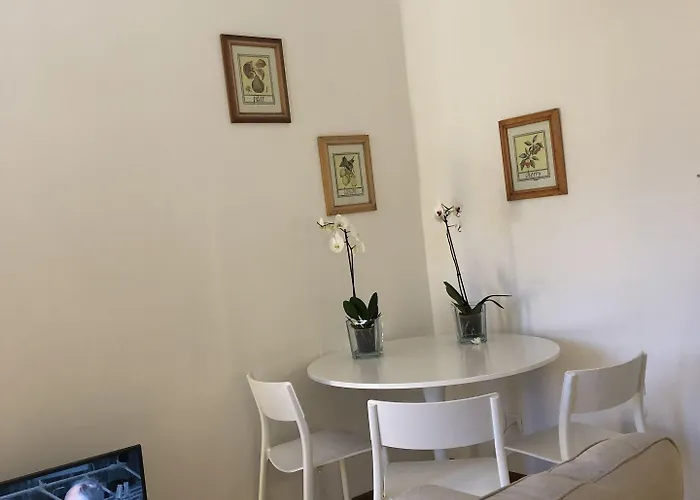 Oro 1 *