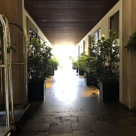 Oro 1 Firenze